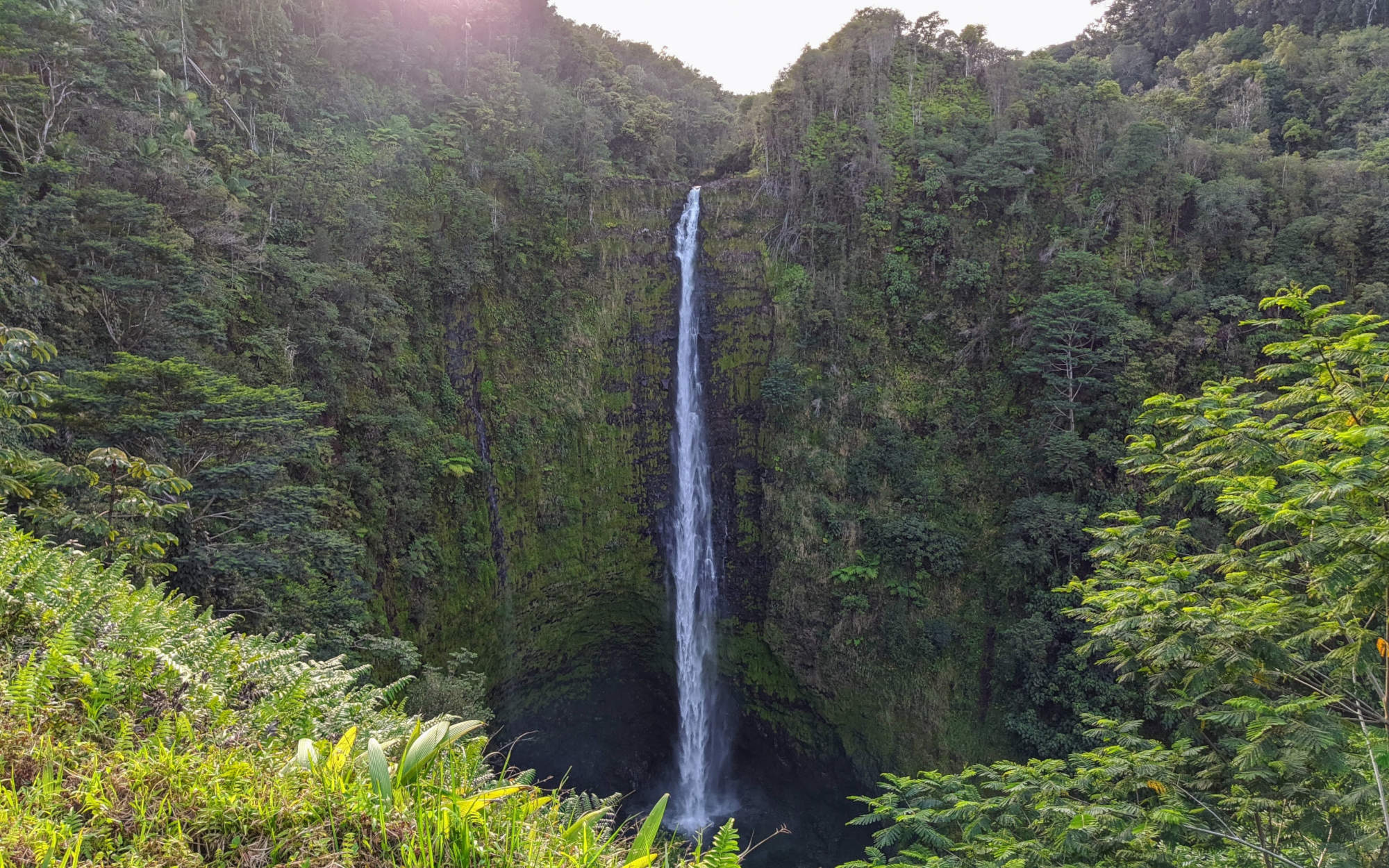 A Week on Maui